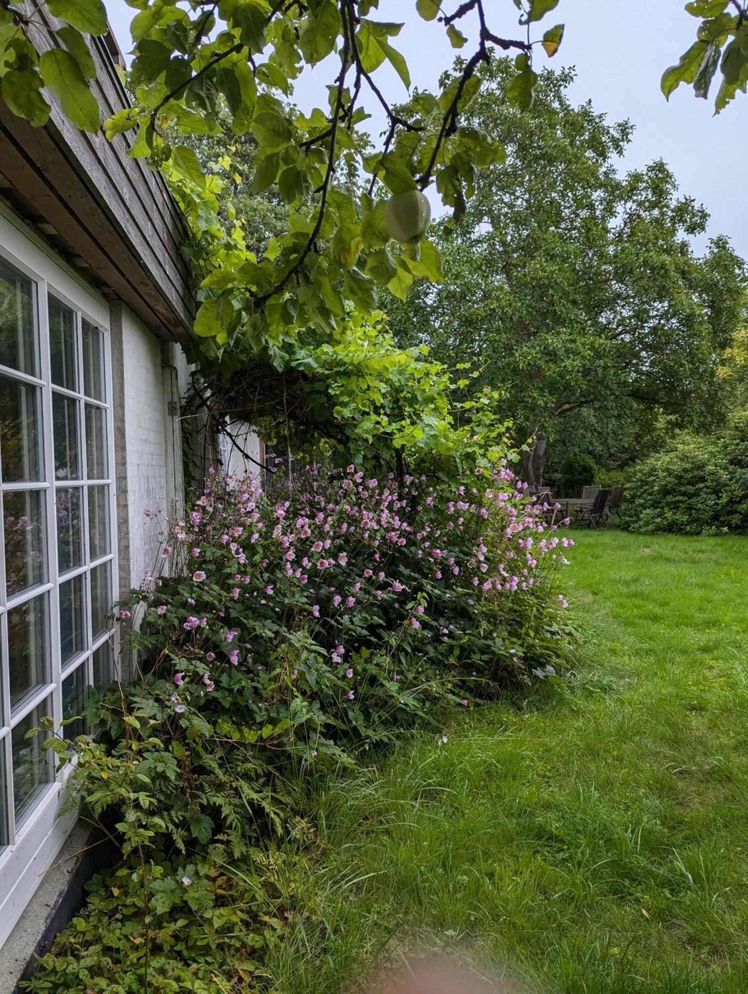 Lejlighed Ved Skov Græsted Zewnętrze zdjęcie